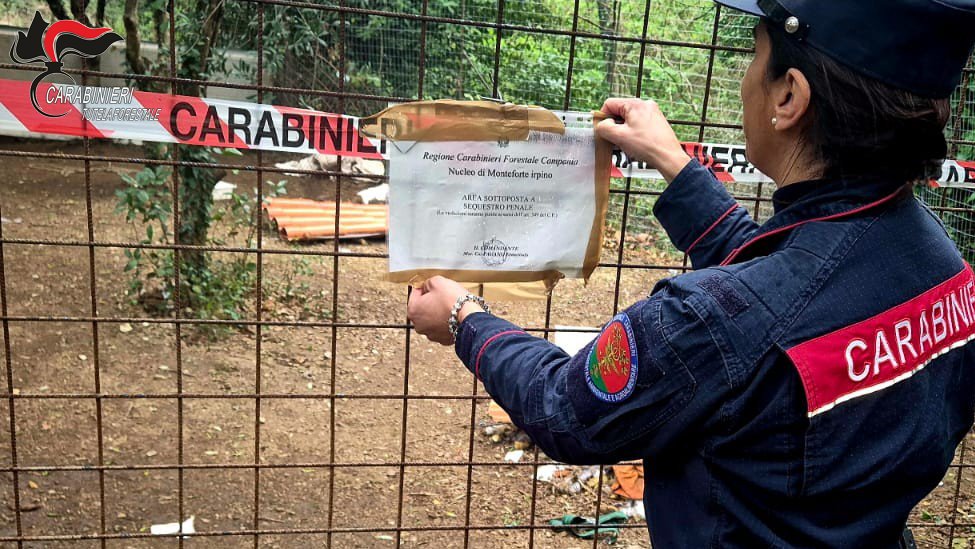 Avella, 10 cani sotto pioggia e freddo tra fango e strutture fatiscenti: denunciato proprietario Avella, 10 cani sotto pioggia e freddo tra fango e strutture fatiscenti: denunciato proprietario