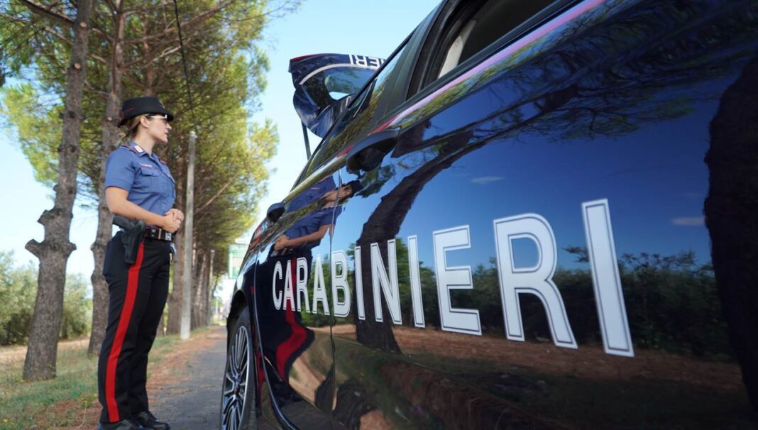 San Felice a Cancello, pitbull strappa Yorkshire dalle braccia della proprietaria e lo ferisce: denunciato il proprietario San Felice a Cancello, pitbull strappa Yorkshire dalle braccia della proprietaria e lo ferisce: denunciato il proprietario
