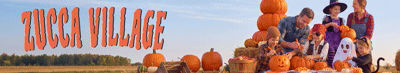 spot_img