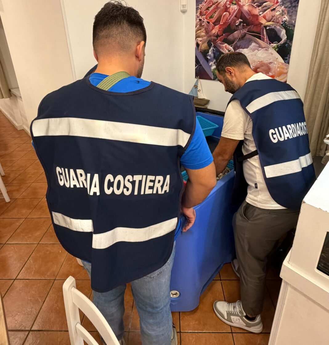 Torre del Greco, sequestrati 100 chili di pesce senza tracciabilitĂ : sanzionati quattro ristoranti Torre del Greco, sequestrati 100 chili di pesce senza tracciabilitĂ : sanzionati quattro ristoranti