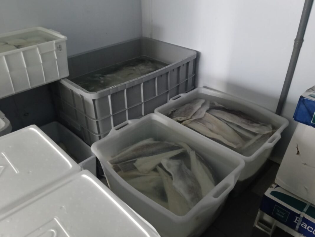 Mugnano di Napoli, sequestrata attivitĂ di lavorazione di baccalĂ e stoccafisso Mugnano di Napoli, sequestrata attivitĂ di lavorazione di baccalĂ e stoccafisso
